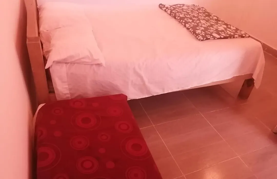 UNA CUADRA DEL PARQUE, HOSTAL SUCULENTA Jardín-1