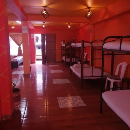UNA CUADRA DEL PARQUE, HOSTAL SUCULENTA Jardín-2